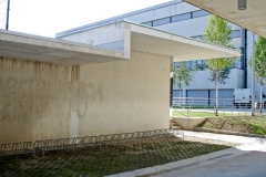 DSC00970